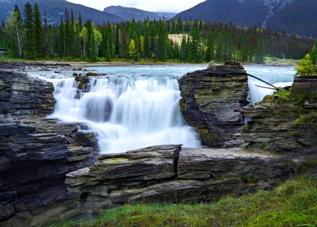 waterfall, forest, river