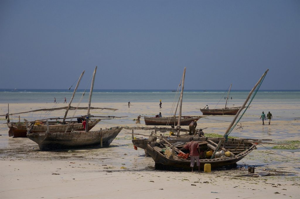 zanzibar, indian ocean, tanzania